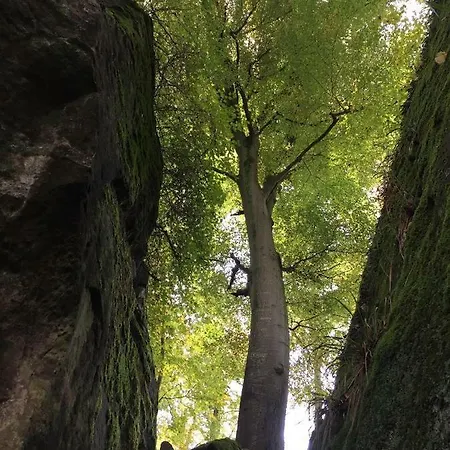 Zum Golfstuebchen * Echternacherbruck